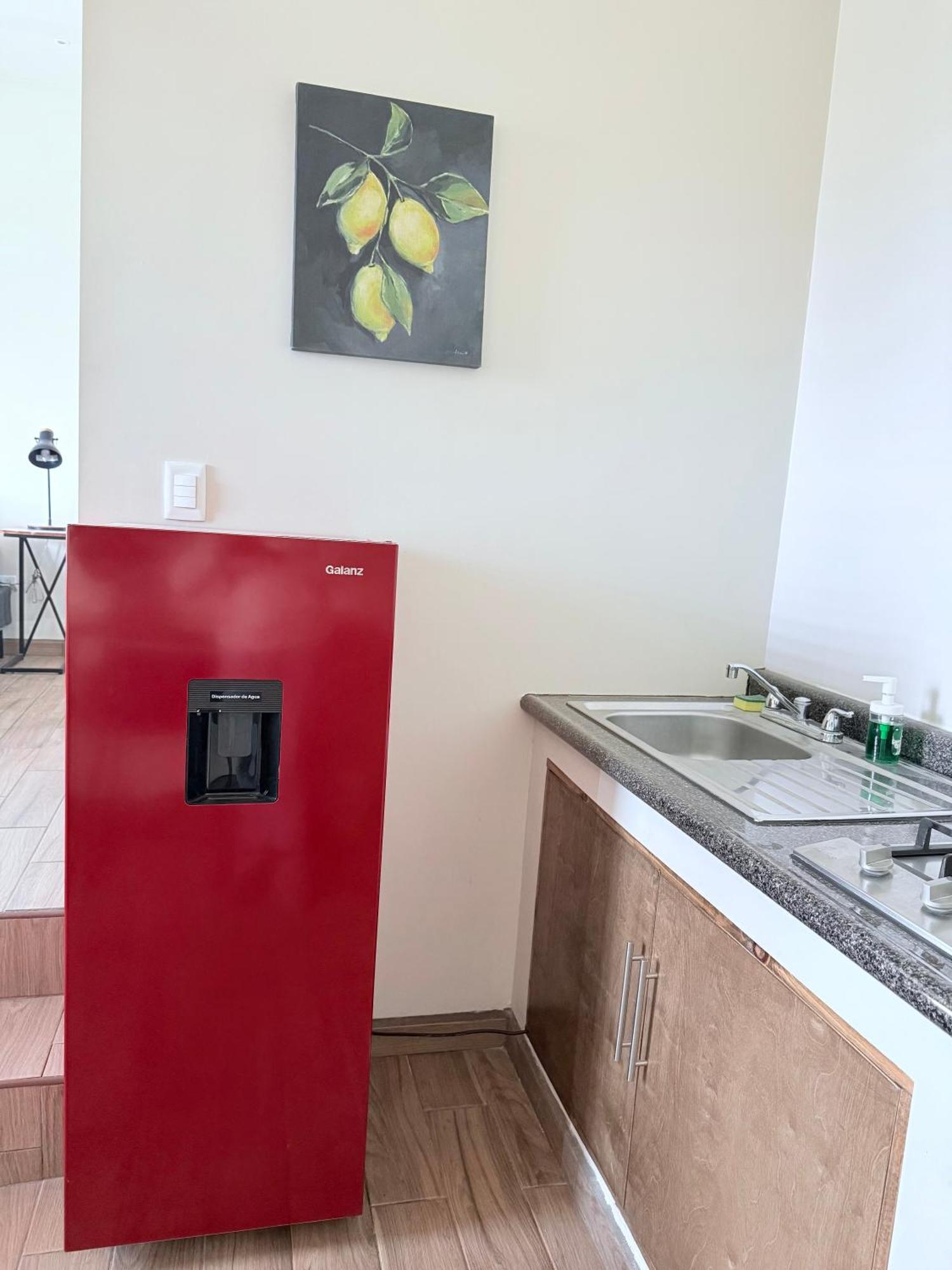 Cozy, Quiet & Pet Friendly Gated Patio Studio Ensenada Zewnętrze zdjęcie